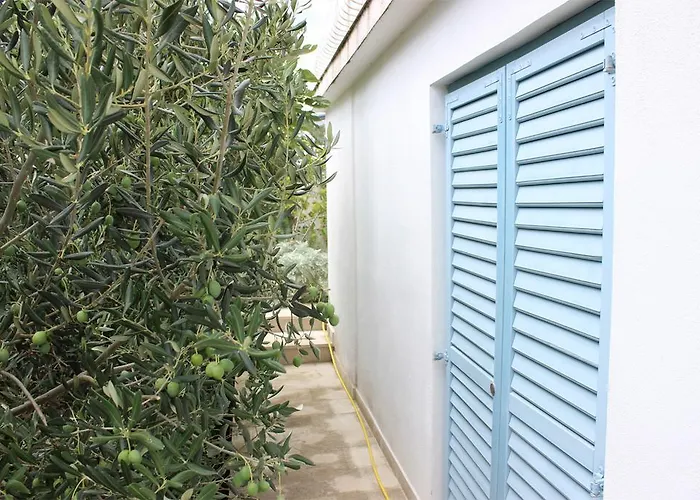 Hills 아파트 티스노